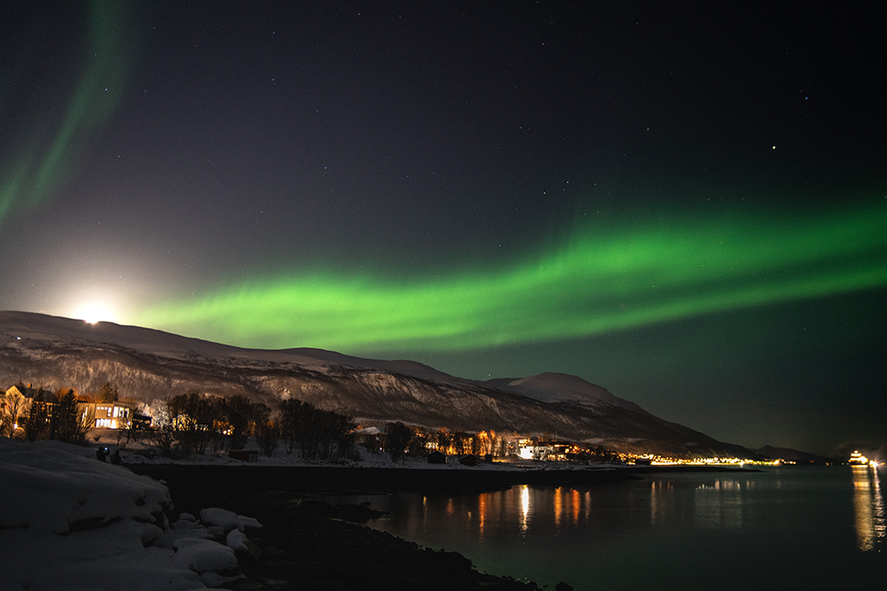 Arctic